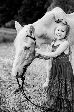 St Ledger family-171BW