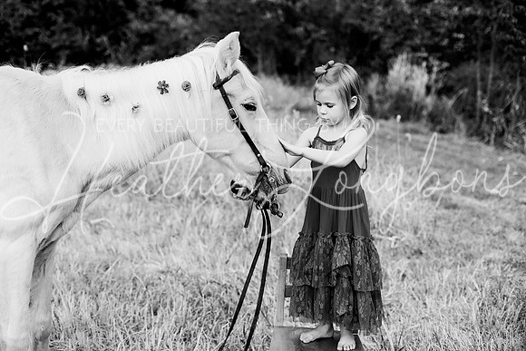 St Ledger family-176BW