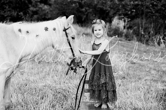St Ledger family-177BW
