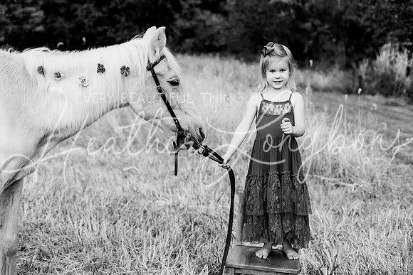 St Ledger family-179BW