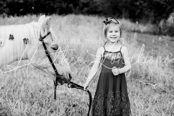 St Ledger family-181BW