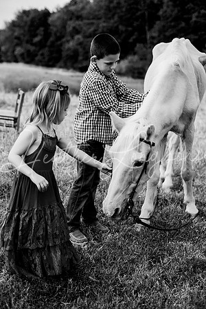St Ledger family-186BW