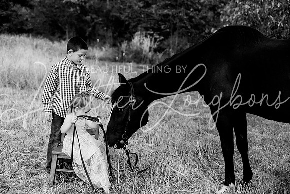 St Ledger family-187BW