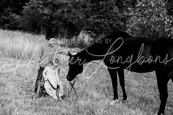 St Ledger family-188BW