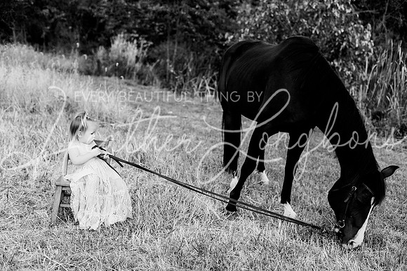 St Ledger family-190BW