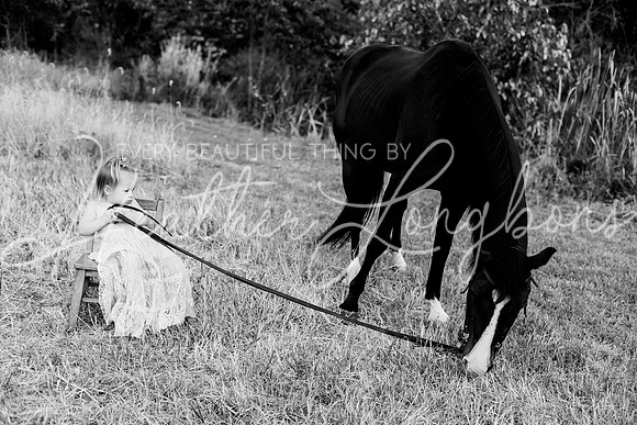 St Ledger family-191BW
