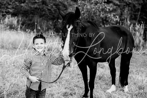 St Ledger family-201BW