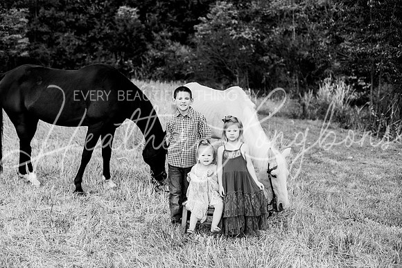 St Ledger family-203BW