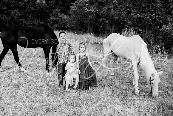 St Ledger family-204BW