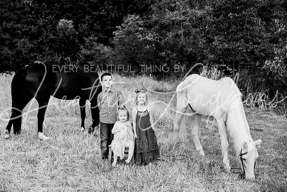 St Ledger family-205BW