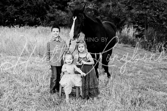 St Ledger family-207BW