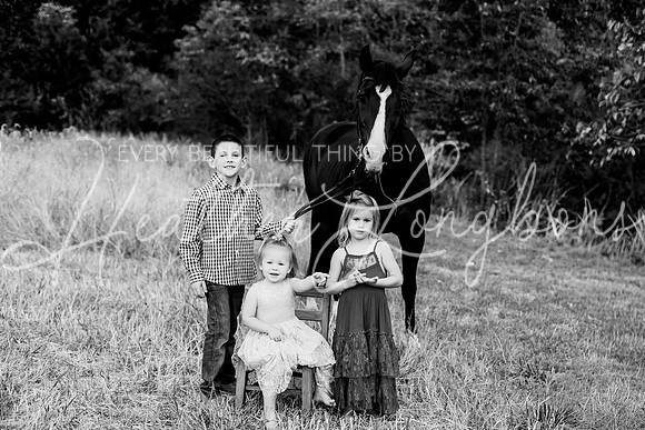 St Ledger family-206BW
