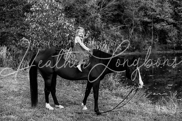 St Ledger family-208BW