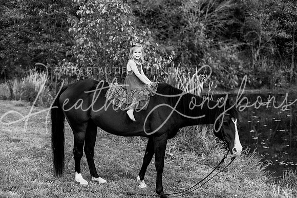 St Ledger family-209BW
