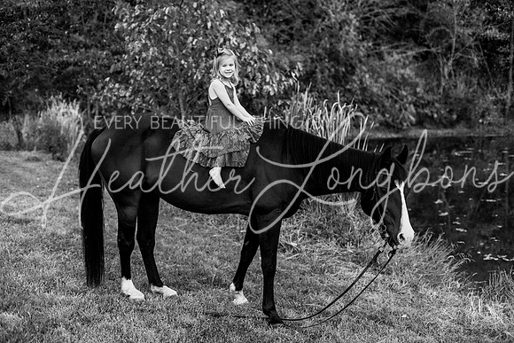 St Ledger family-210BW