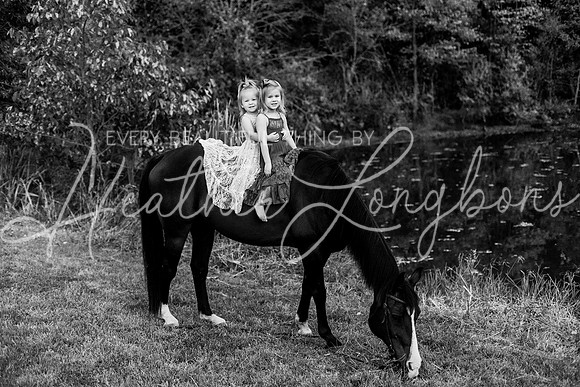 St Ledger family-211BW
