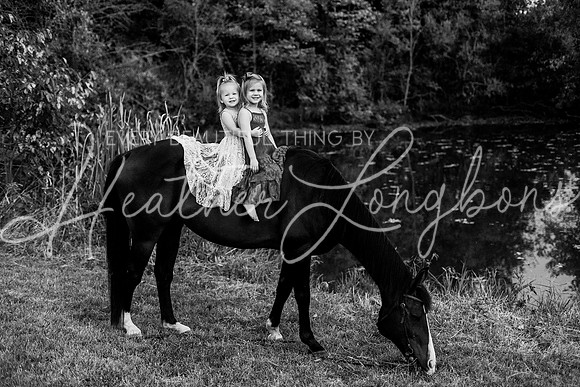 St Ledger family-212BW