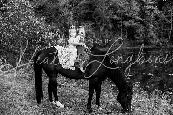 St Ledger family-213BW