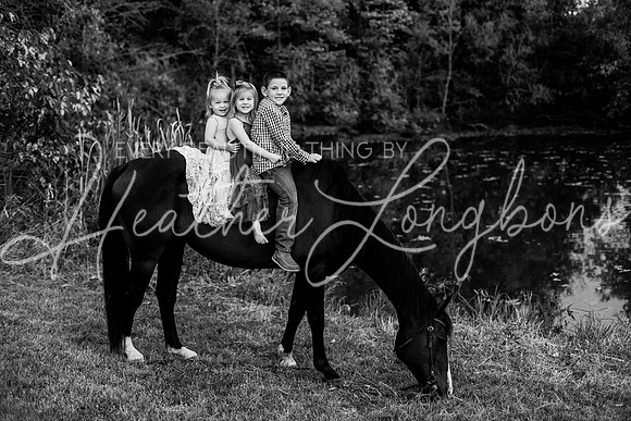 St Ledger family-214BW