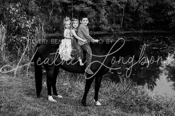 St Ledger family-215BW