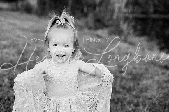 St Ledger family-221BW