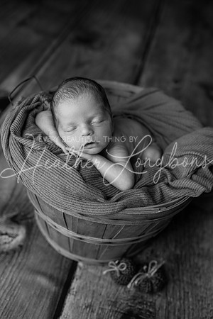 Bowen Newborn-14BW