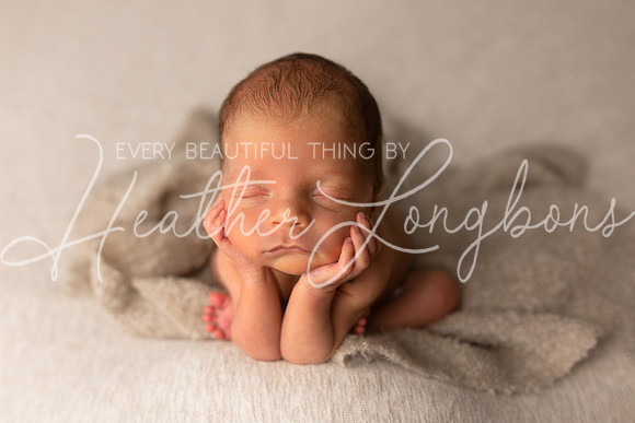 Bowen Newborn-1