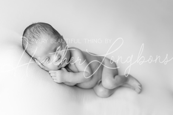Bowen Newborn-5BW