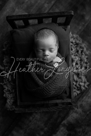Bowen Newborn-8BW