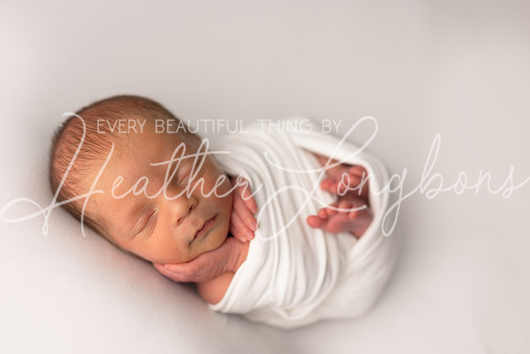 Bowen Newborn-10