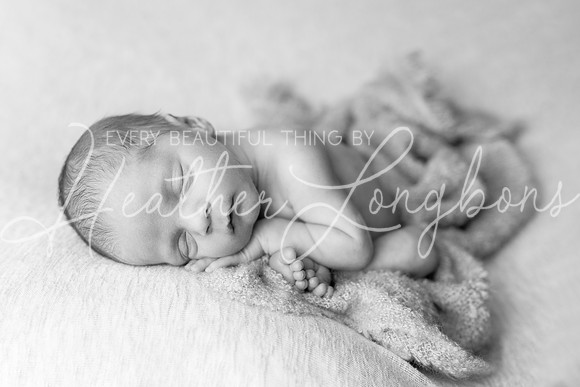 Bowen Newborn-12BW