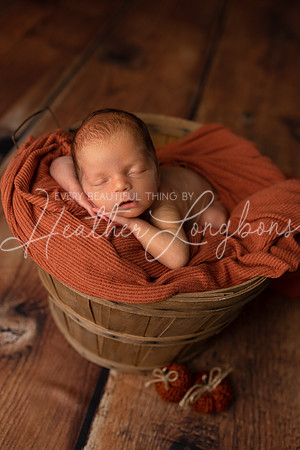 Bowen Newborn-14