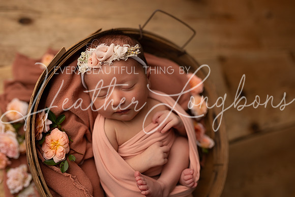 Winsley Loss Newborn-19