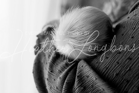 Mac Haggard Newborn-59BW