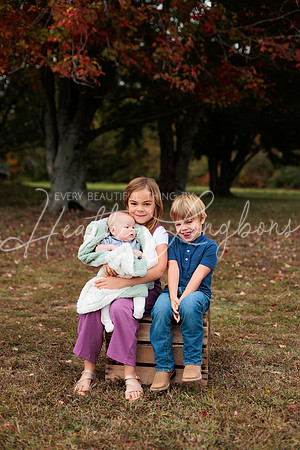 Fall Minis Seals-36