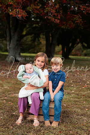 Fall Minis Seals-37