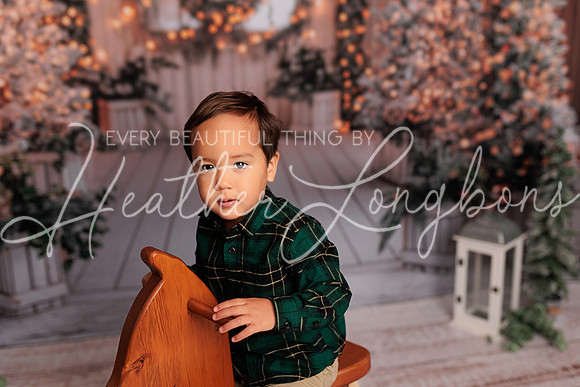 2024 Christmas McDaniel-14