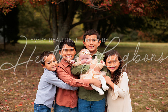 Fall Minis McDaniel-17