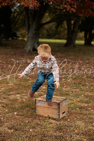 Fall Minis Cochren-44