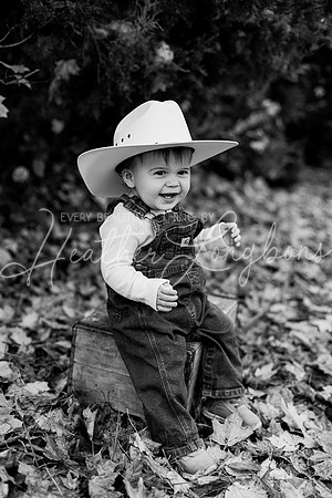 Rafe Case one year-31BW