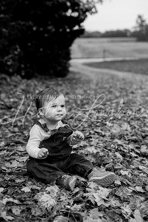 Rafe Case one year-50BW
