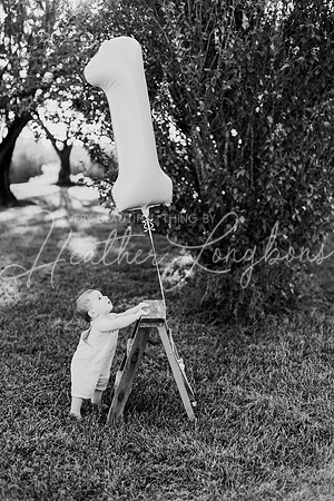 Brooks One Year-4BW