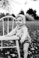 Georgia crawler-1BW