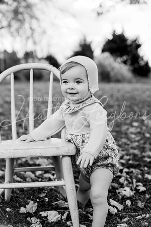 Georgia crawler-1BW
