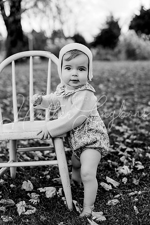 Georgia crawler-2BW