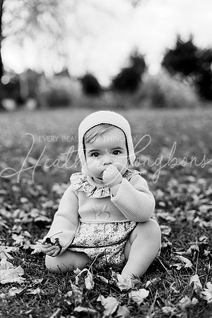 Georgia crawler-4BW