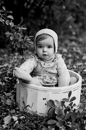 Georgia crawler-5BW