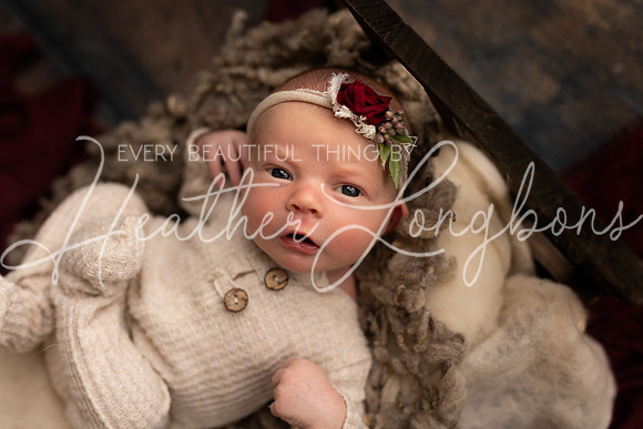 Johanna newborn-13