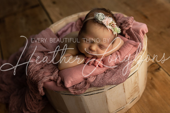 Sarah Newborn-13