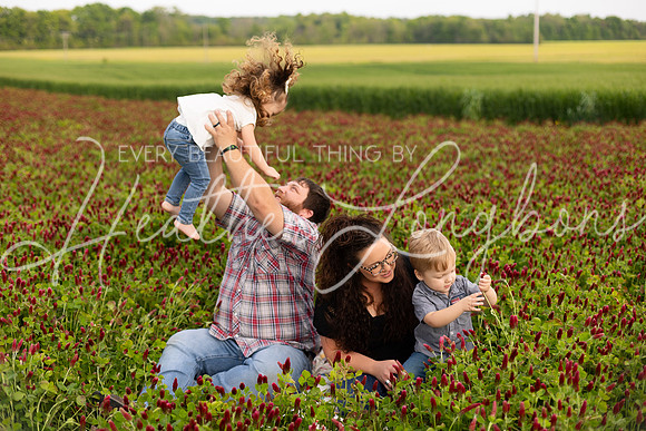 Clover Taylor family-8